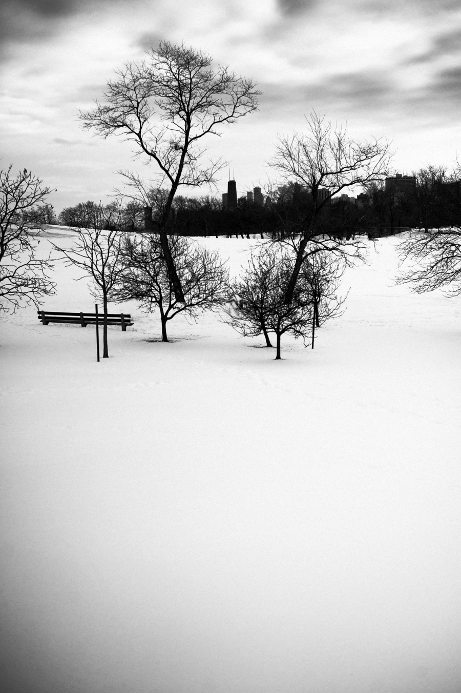 Winter-Chicago, IL